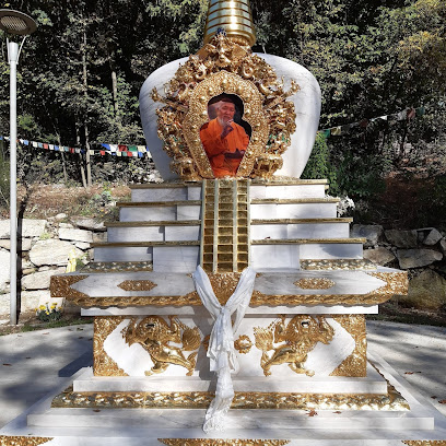 Lama Gangchen Albagnano Healing Meditation Centre